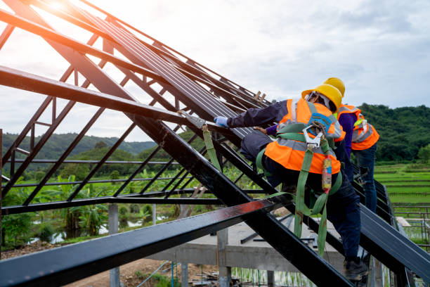 Best Affordable Roofing Company  in La Joya, TX