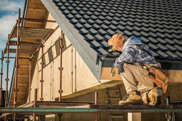 Best Roof Maintenance Services  in La Joya, TX