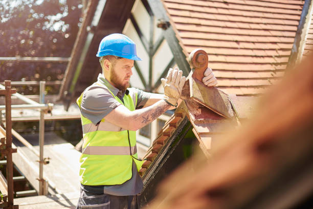 Best Storm Damage Roof Repair  in La Joya, TX