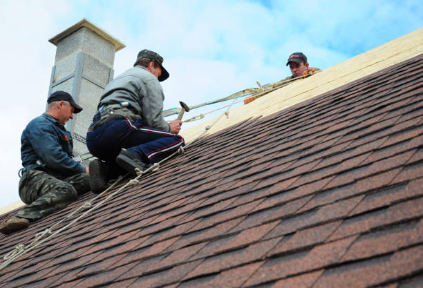 Quick and Trustworthy Emergency Roof Repair Services in La Joya, TX