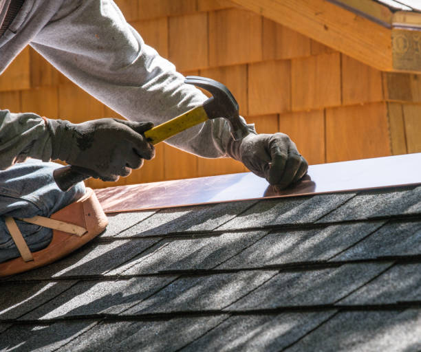 Best Gutter Installation and Roofing  in La Joya, TX